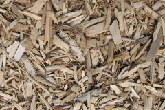 biomass boilers Balmacneil